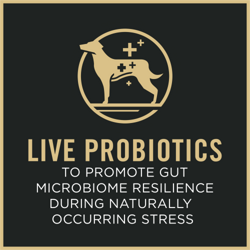 Live Probiotics