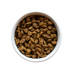 Kibble Image
