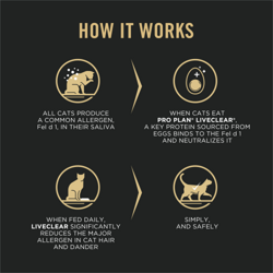 How it works