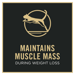 Maintains Muscle Mass