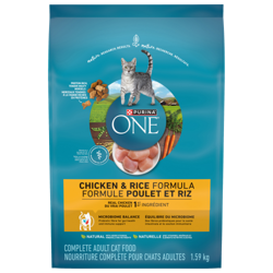 Purina ONE® Chicken & Rice Formula Dry Cat Food
