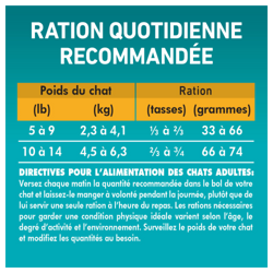Directives Pour L'alimentation des chats adultes