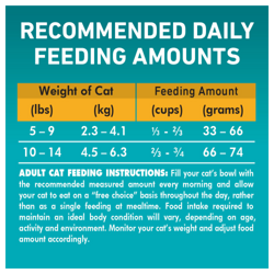 Adult Cat Feeding Instructions