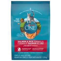 Purina ONE® Salmon & Rice Formula Adult Cat Food