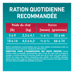 Directives Pour L'alimentation des chats adultes