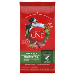 Purina® ONE® Lamb & Rice Formula Dry Dog Food