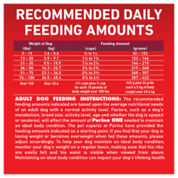 Recommended Daily Feeding Guide