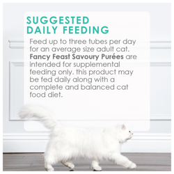Feeding Recommendations