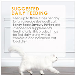 Feeding guide