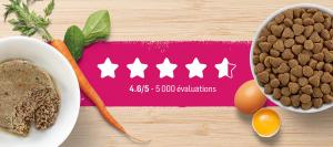 reviews