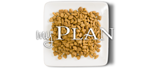 My Plan Cat Bowl
