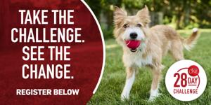 28 day challenge dog