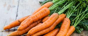 Les carottes