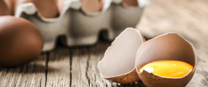 Oeufs dans un carton