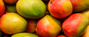 Mangoes