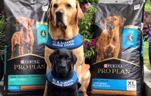 guide and servie dogs with pro plan product bags