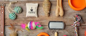Un assortiment d'articles pour chatons
