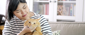 An orange cat cuddling its owner