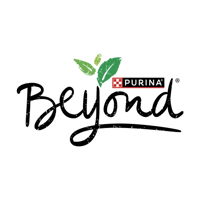 beyond logo