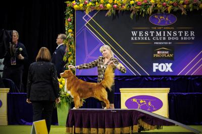 Luca and his Handler Christine Jones