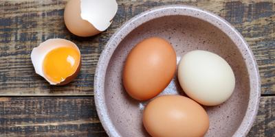 eggs