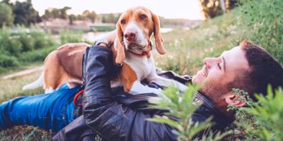 dog lying on top of its owner at a park