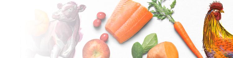 Beyond pet food ingredients scattered on white background