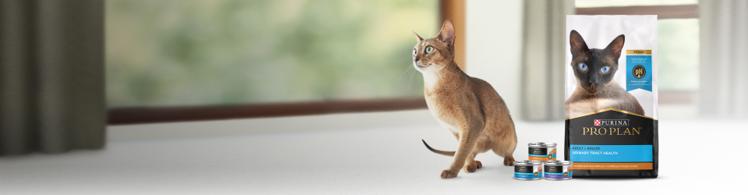 Pro Plan Urinary Tract Health Cat Food Hero Banner