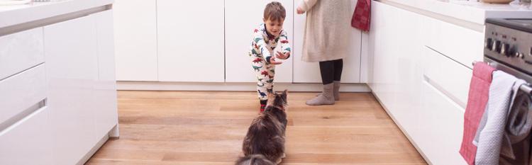 garçon en pyjama jouant avec un chat dans la cuisine