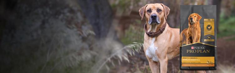 purina-pro-plan-senior-dog-food-header