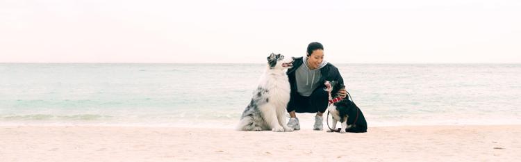 woman on beach with two dogs