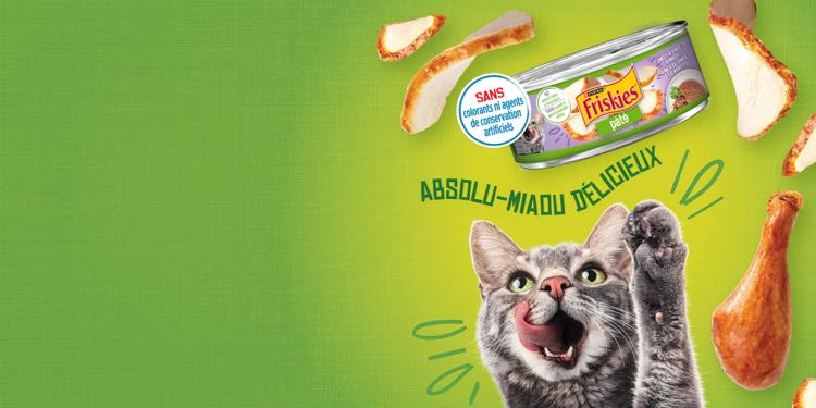 absolu-miaou delicieux