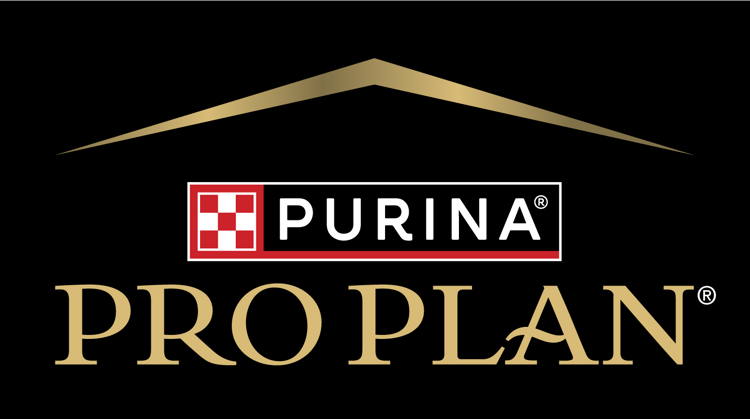 pro plan logo with black background