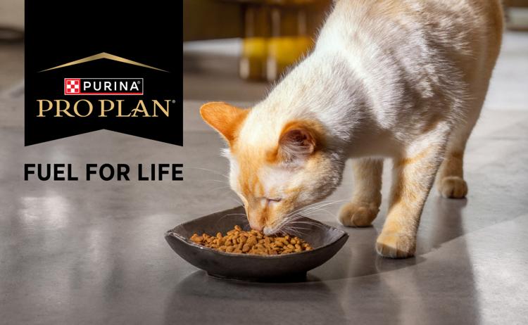 Pro Plan Fuel for Life- Cat
