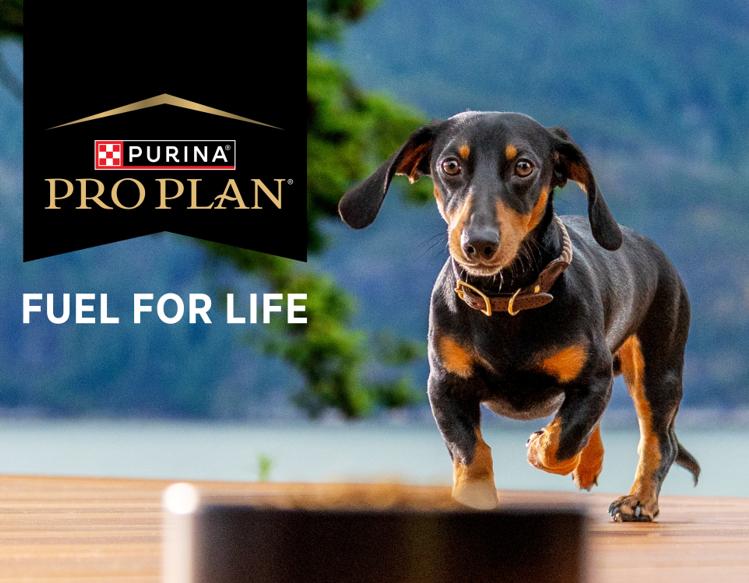 Pro Plan Fuel for Life