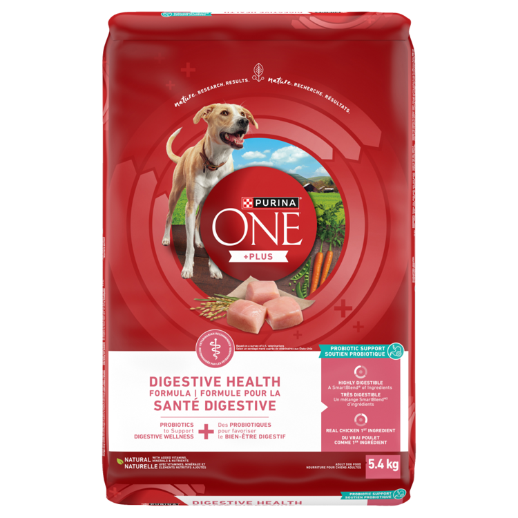 Purinaᴹᴰ ONEᴹᴰ + Plus Formule pour la Santé Digestive Nourriture Sèche pour Chiens