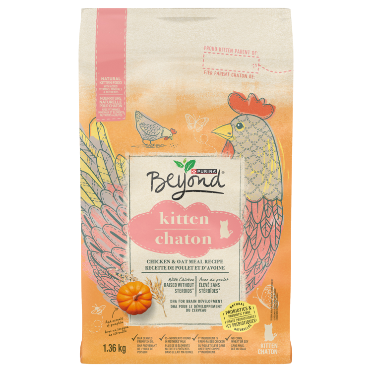 Beyondᴹᴰ Chaton Recette de Poulet d'Avoine Nourriture Sèche pour Chats