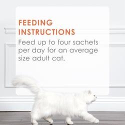 Feeding Recommendations