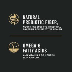 natural prebiotic fiber
