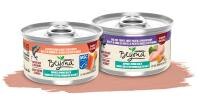 beyond wet cat food cans