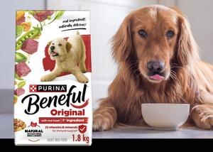 dog sitting next to a bag of beneful with real beef