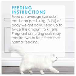 Feeding Recommendations
