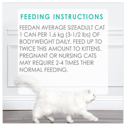 Rations Recommandées