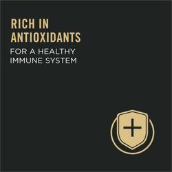Rich in Antioxidants