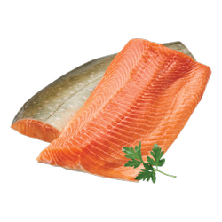 Arctic Char