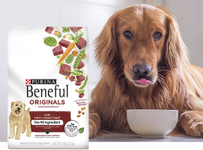 Beneful Joyful Rituals Dog Food Mealtime