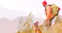 purina product innovation pet food dog outdoors