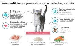 Voyez la différence qu'une alimentation réfléchie peut faire