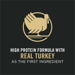 High Protein Turkey