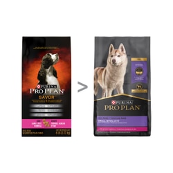 Pro Plan® SAVOR® Adult Lamb & Rice Formula Dry Dog Food